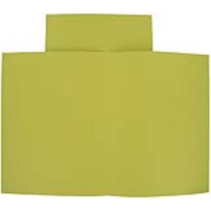 Exacompta 100 chemises dossiers Foldyne 250 (24 x 32 cm)
