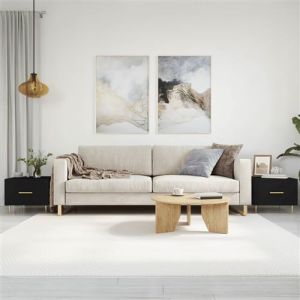 VidaXL Tables Basses 2 pcs, Tables d'Appoint avec Tiroir, Bouts de Canapé avec Pieds, Meubles de Rangement Salle de Séjour, Moderne, Noir Bois d'Ingénierie