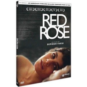 Image de Red Rose