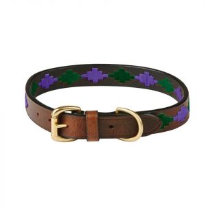 Weatherbeeta Collier pour chien en cuir Polo