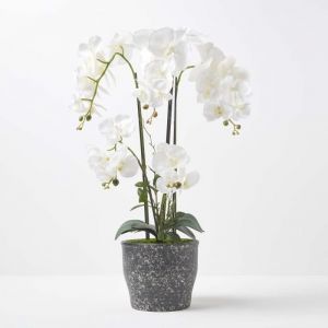 Homescapes Grande Orchid&eacute;e artificielle blanche en pot en c&eacute;ramique fonc&eacute; 82 cm
