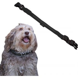 Dutchwide Collier Lumineux Chien Extra Fort M 37 cm à 46 cm - Collier pour chien - Collier à mousqueton - Réglable - Réfléchissant
