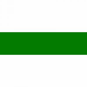 Copic Marqueur à alcool double pointe Marker Mousse YG67