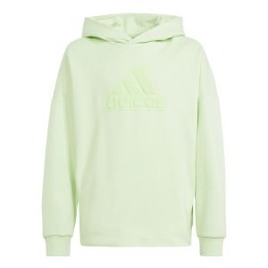 Adidas Logo Sweat À Capuche Garçons - Vert Clair