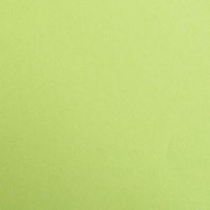 Clairefontaine 48152C - Etui de 25 feuilles de papier Maya, 270 g/m&sup2;, A2, coloris vert mousse
