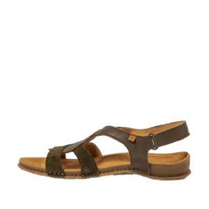 El Naturalista N5819 38 Vert