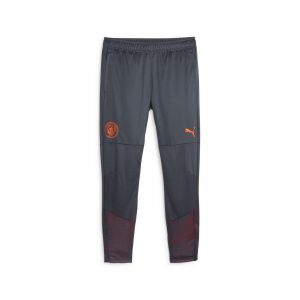 Puma Manchester City FC Training Track Pants - Grey, Grey - Taille L