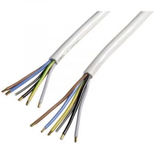 Xavax 00220797 cuisinière Câble de raccordement blanc 2.50 m