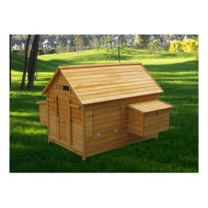 Poulailler Comparer 1523 Offres