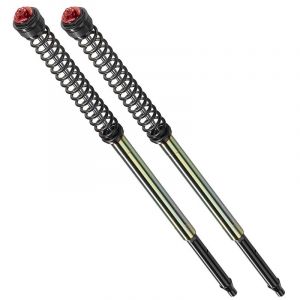 Bitubo Ressort de fourche BW037ABB09WO