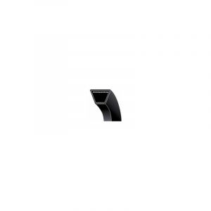 Castelgarden Courroie pour tondeuse castel garden modele F72, F72 hydro