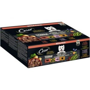 César Natural Goodness sans céréales avec superaliments 48 x 100 g - Terrines (volaille, dinde, bœuf, saumon)