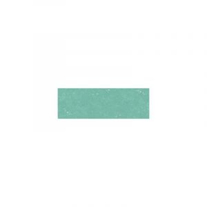 Sennelier Pastel sec MID TONES 956