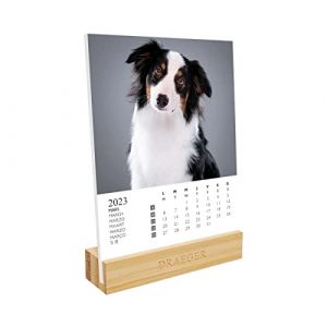 DRAEGER PARIS | Calendrier sur socle Chiens 2023 |12 x 16,5 cm | Année 2023 | 7 langues | Calendrier décoration bureau mensuel| Socle bambou | Boîte papier FSC | encres végétales