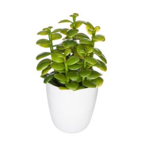 Atmosphera Plante artificielle Cactus en pot H 18 cm - Mod&egrave;le F