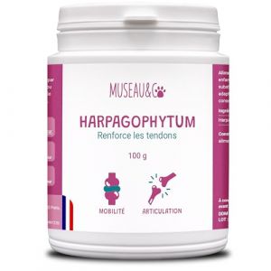 Museau & Co - Harpagophytum - Confort articulaire chiens et chats