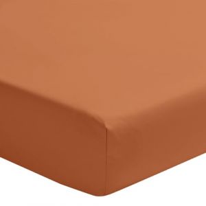 Essix Drap Housse uni en Percale de Coton, Premiere, 2 x 80 x 200 cm