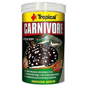 Image de Tropical Carnivore - Nourriture pour Gros, fleischfressende Poissons et de raies