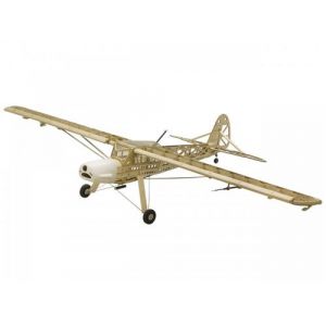 Image de PICHLER Fieseler Storch Fi156 - 1600 mm