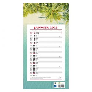 Image de CBG BOUCHUT Calendrier bloc mensuel à feuillets année civile 2023 19 x 36 cm [Visuel Aléatoire]