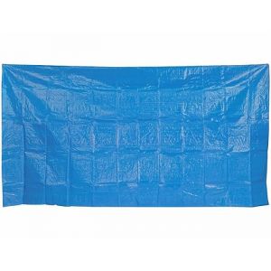 Speeron : Tapis de sol pour piscine gonflable - 310 x 190 cm