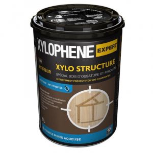Xylophène Traitement insecticide et anti-termites intérieur XYLO.Structure 5L
