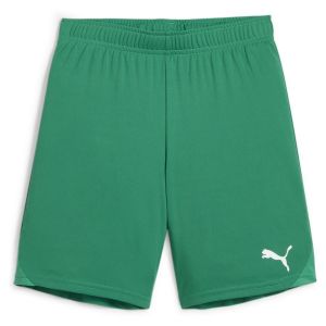 Puma TeamGOAL Shorts Jr Maille Adultes Unisexes, Sport Green White, 128