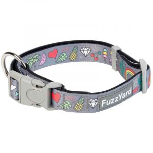 Fuzzyard Collar De Neopreno Coachella S