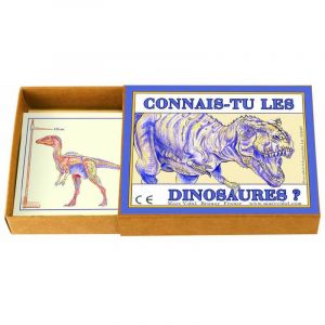 Image de Connais tu les dinosaures ?