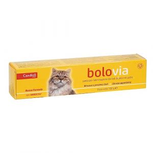 Bolo Via Pasta Gatti 100 G