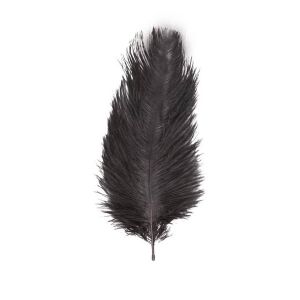 Ruedelafete Sachet de 2 Plumes d'Autruche 30-35cm, Noir