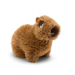 Nici Peluche Capy-Barbara