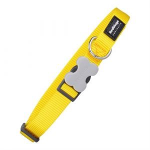 Collier pour Chien Lisse 2 5 4163 cm Jaune