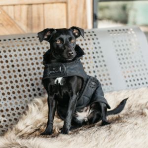 Kentucky Dogwear Manteau pour chien 160 g, taille L, couleur : noir