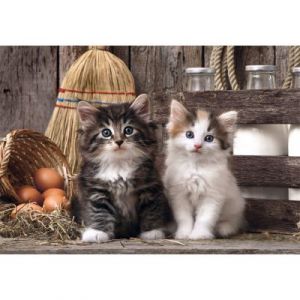 Clementoni Puzzle Compact 1000 pièces : Adorables chatons