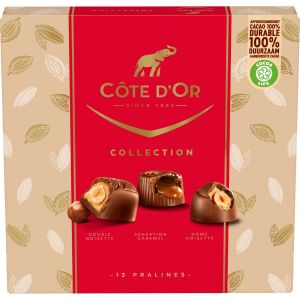Côte d'Or Coffret Collection de Fêtes - Assortiments de 13 Pralines - 3 Recettes : Double Noisette, Sensation Caramel, Dôme Noisette - Boîte Chocolat à Offrir - Idée Cadeau Noël - 135 g