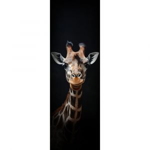 Ceanothe Tableau sur toile portrait girafe 30x97 cm