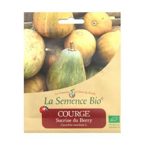 Image de La Semence Bio Graines bio - Courge sucrine du berry 20gn graines biologique