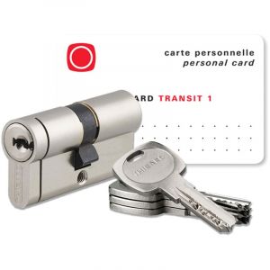 THIRARD Cylindre europeen haute surete barillet serrure de porte 4 cles et carte propriete Transit 1 Taille - 35x35mm