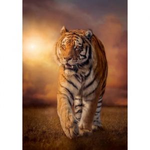 Clementoni Puzzle adulte : tigre dans la savane - 1500 pieces - collection animaux sauvages