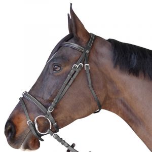Bridons équitation plat doublé Canter