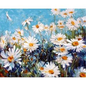Peinture au num&eacute;ro : Champ de Marguerites et Ciel bleu - sans ch&acirc;ssis en bois