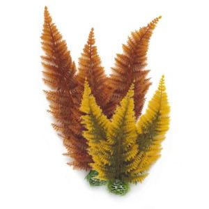 Biorb 2 fougères d'automne pour aquarium