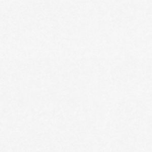 A.S. Creation Papier peint intiss&eacute; 953101 Meistervlies 2020 - Papier peint &agrave; peindre Blanc - 25,00 x 0,75 m