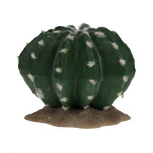 Accessoire de terrarium Terra Della Echinocactus