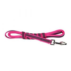 Image de Julius K9 Laisse De Sport Anti-Glisse Sans Poignée Pour Chien, Rose, 3m X 20mm Pour Chien Sans Poignée Rose Autre