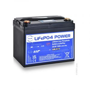Nx Batterie Lithium Fer Phosphate (409.6Wh) 24V 16Ah M6-F
