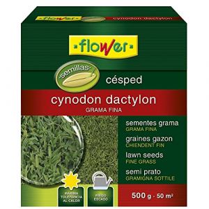 Flower Graphique cynodon dactilon Grame - 500 gr