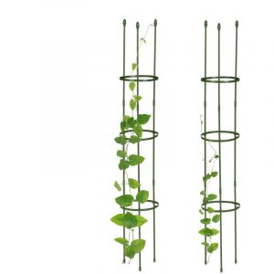 Relaxdays Tuteur &agrave; tomates, en Lot de 2, en Acier et Plastique, Anneaux r&eacute;glables en Hauteur, HxD : 120 x 20 cm, Vert