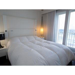Castex Couette hiver canard 90% duvet (240 x 260 cm)